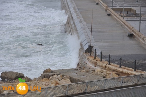 yaffa rain 1211 (3).JPG